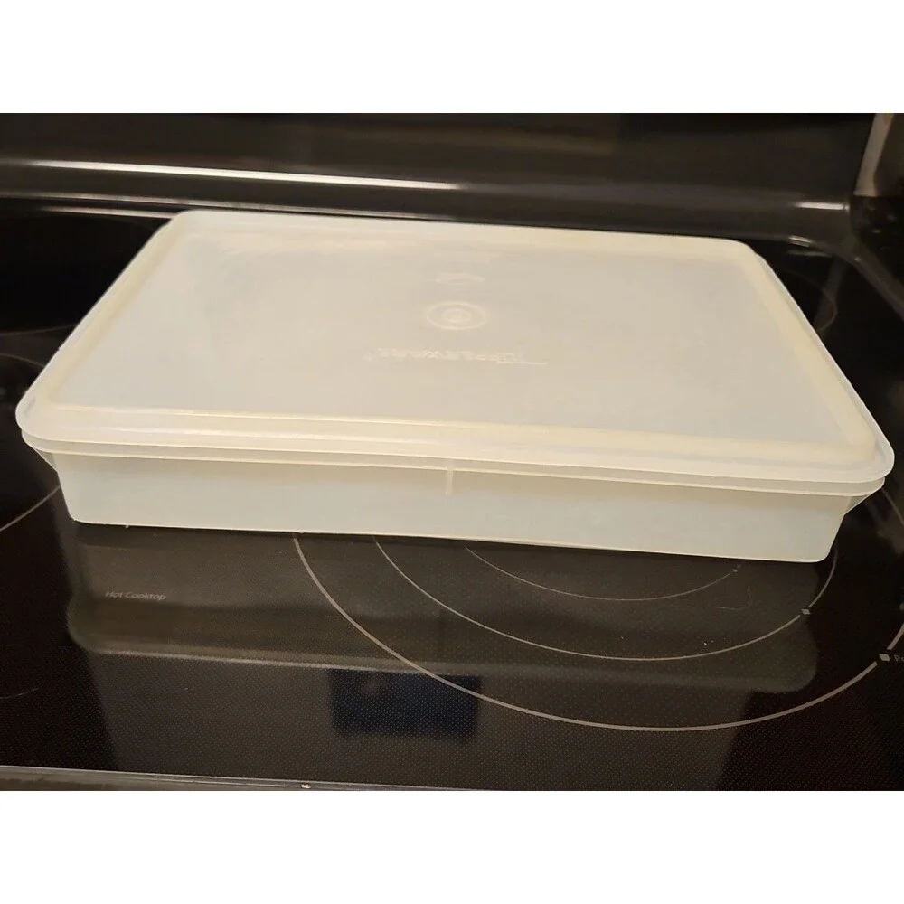 Vintage Tupperware Handolier #290 Sheer Rectangle Keeper With #291 Lid READ